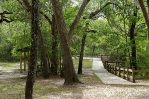 Royal Springs Park area in Live Oak, FL.
