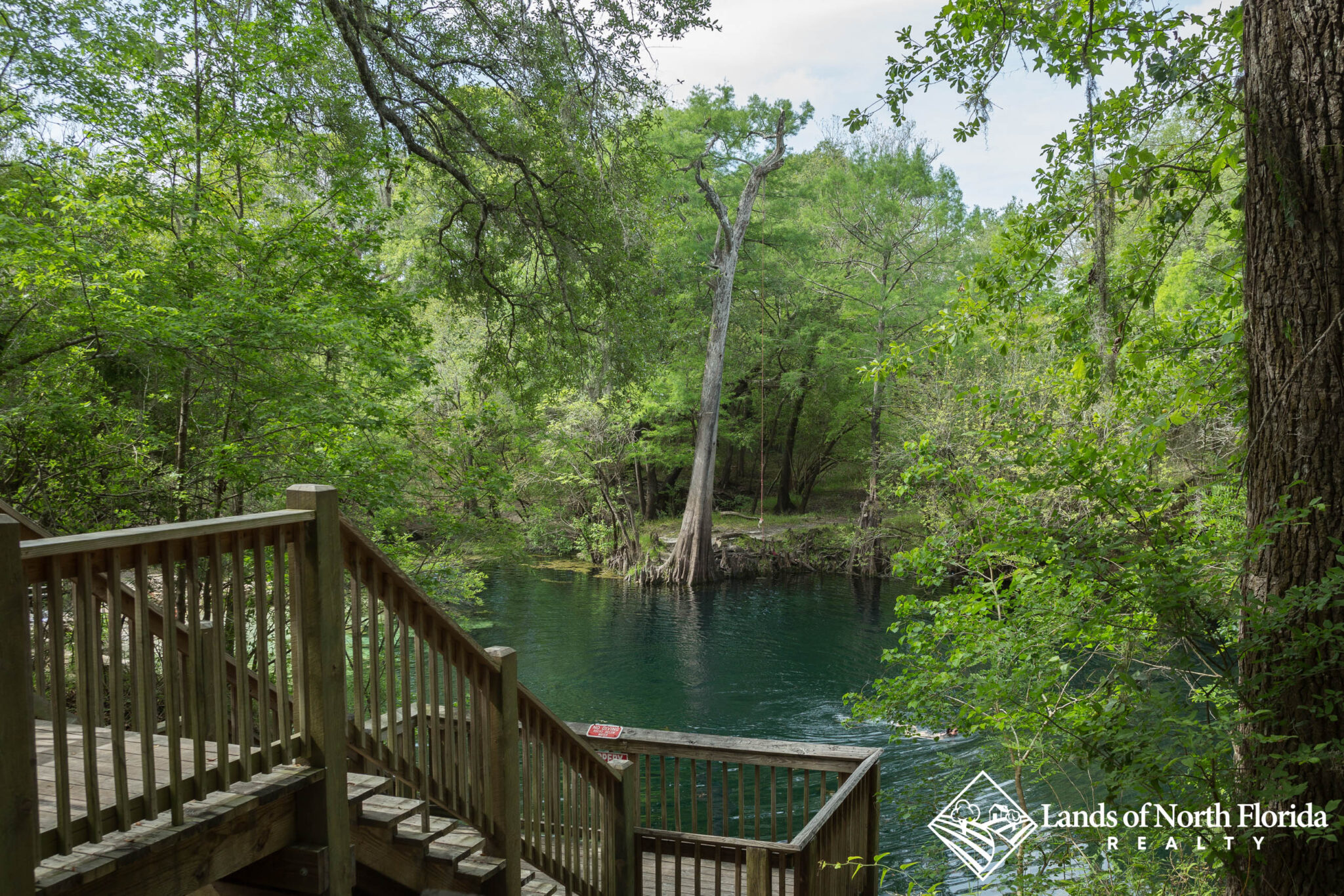 Royal Springs. Near Live Oak, FL. Suwannee County