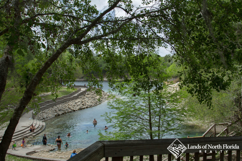 View from the top of the main board walk over looking the length of Little River Springs pool and spring run into the Suwannee River