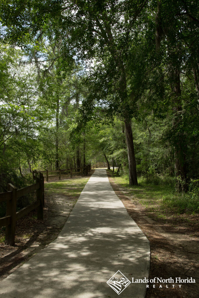 One of the many tree covered pathways at Little River Springs