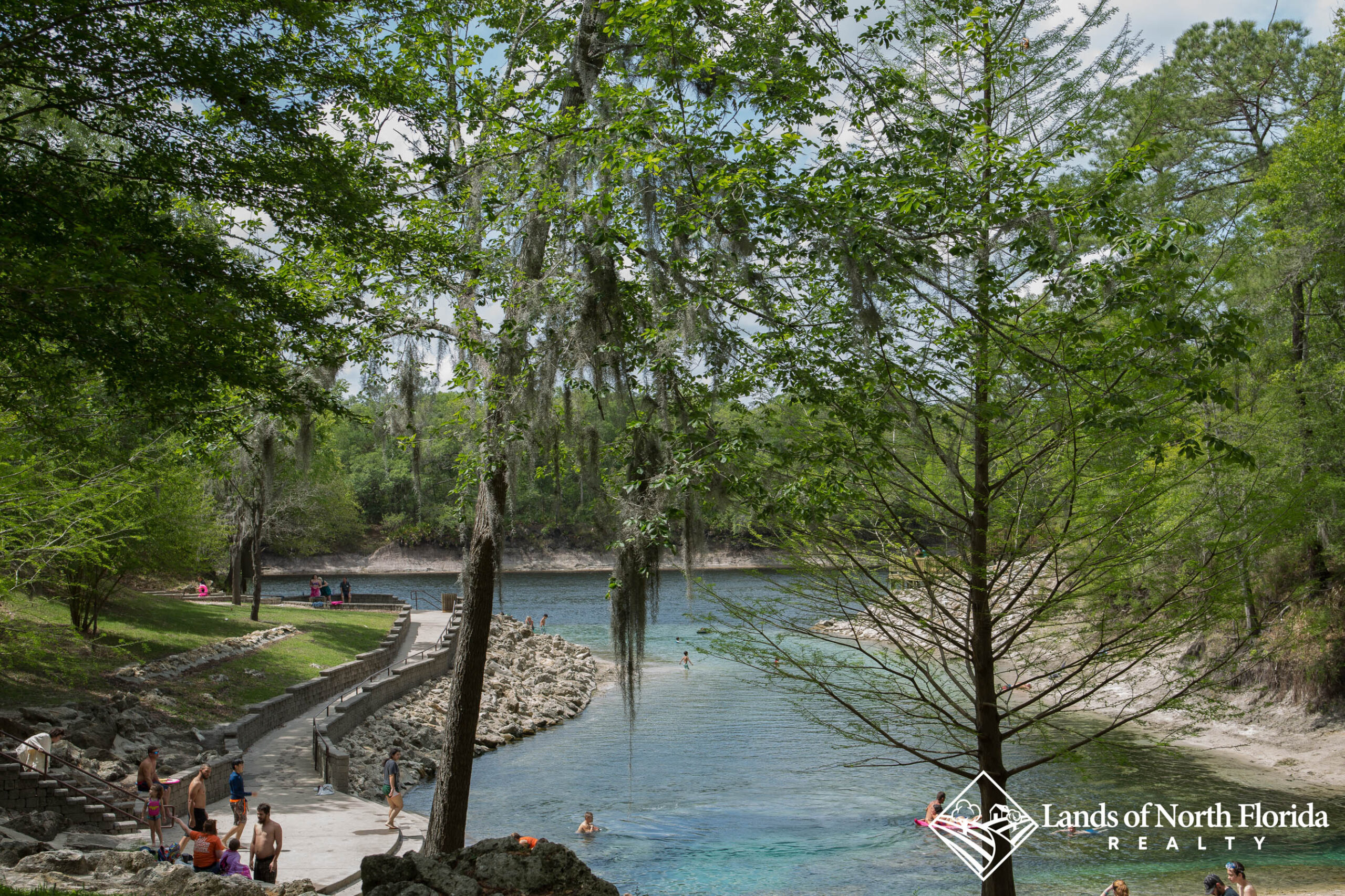 Little River Springs looking down the length of it out towards the Suwannee River.