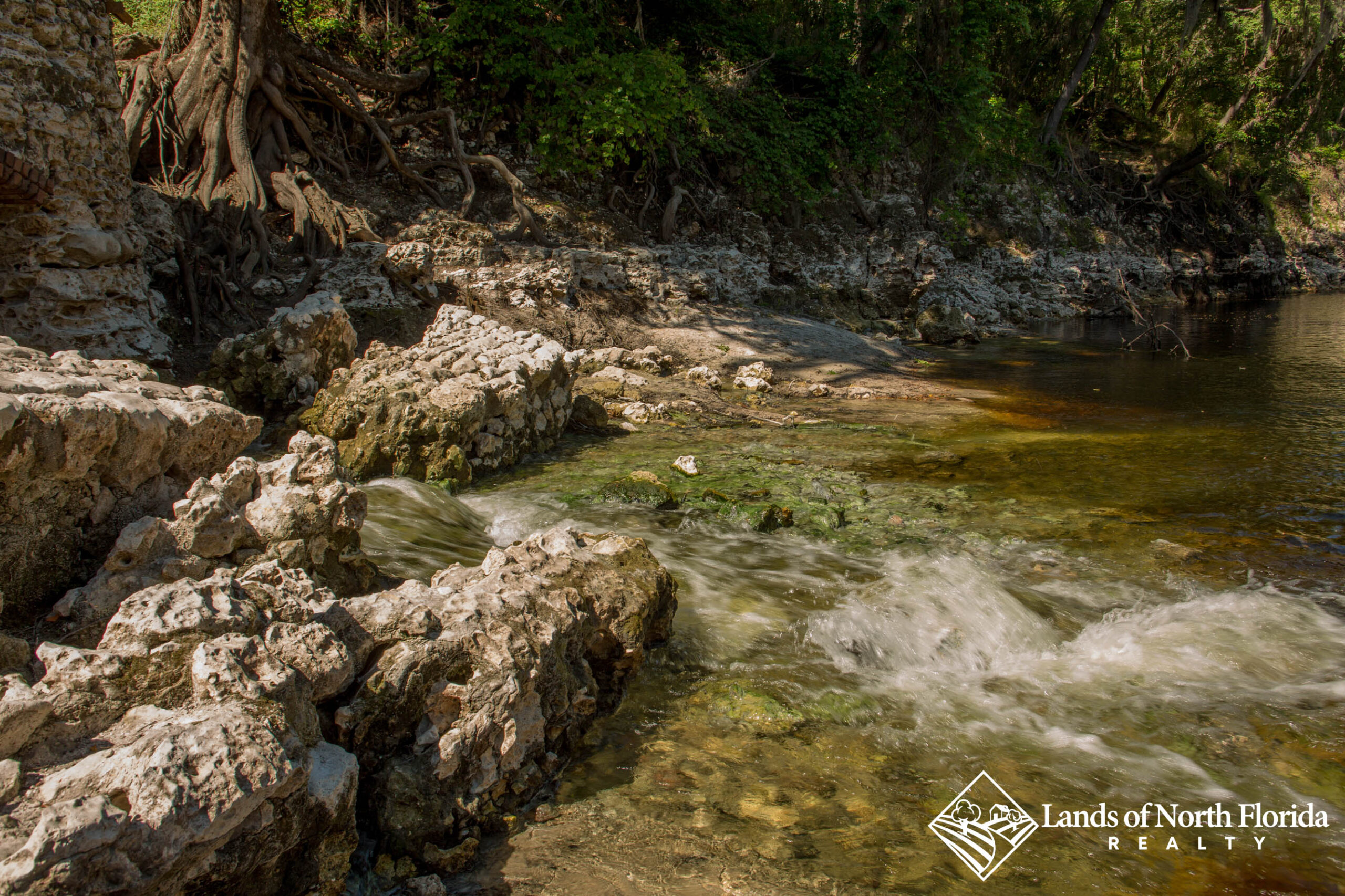 Water flows into the Suwannee River