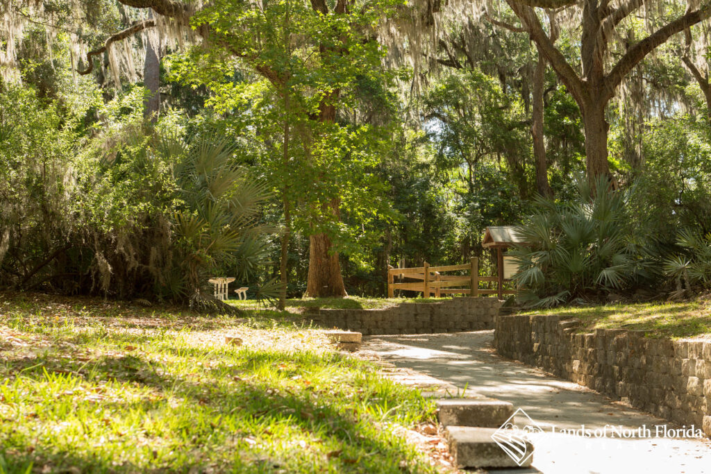 Suwannee Springs side walk and entry area