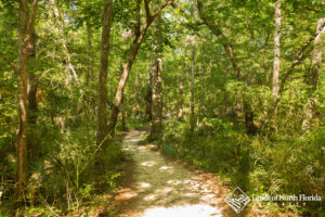 A trail at madison blue spring state park that leads to Martz Sink