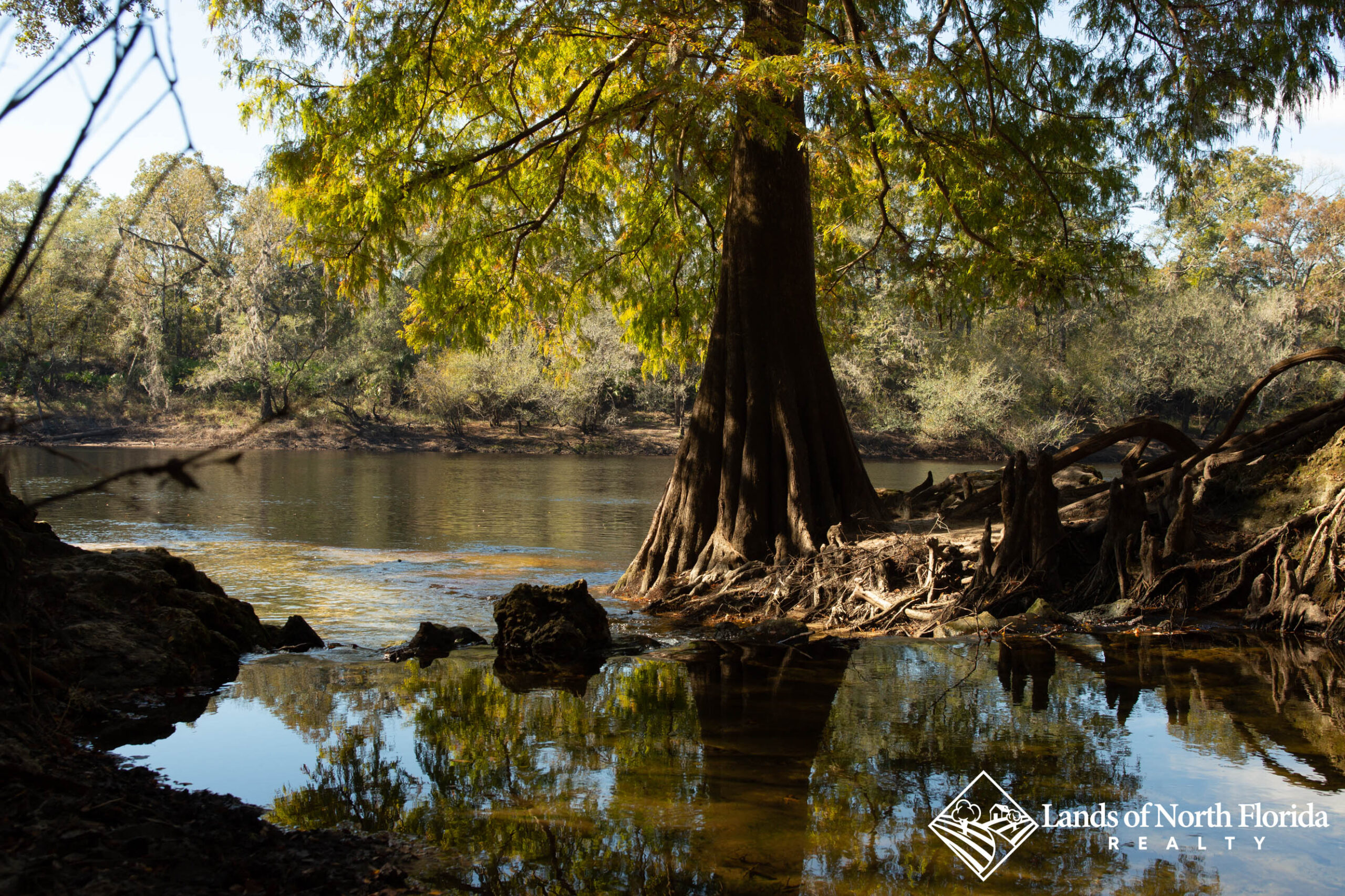 Looking down the spring run of Charles Spring to the Suwannee River