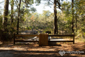 Picnic Table overlooking bank of Suwannee River