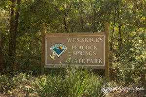 Wes Skiles - Peacock Springs state park entrance sign